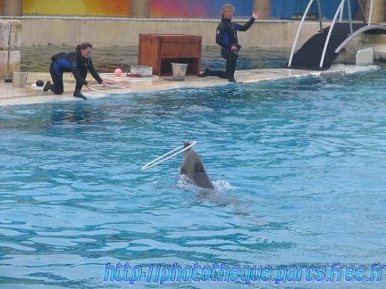 Marineland Antibes - 003