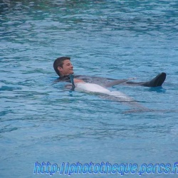 Marineland - Dauphins - Spectacle