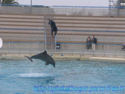 Marineland Antibes - 008