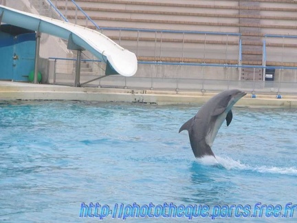 Marineland Antibes - 009