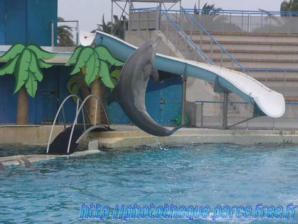 Marineland Antibes - 010