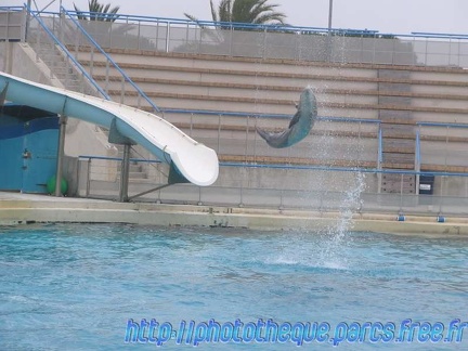 Marineland Antibes - 012