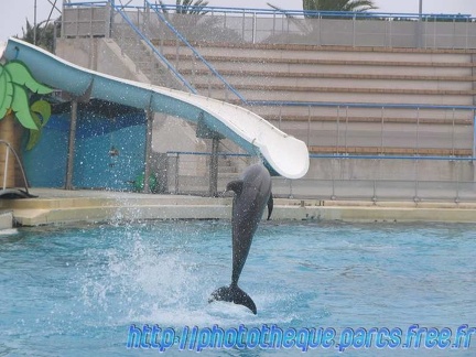 Marineland Antibes - 013