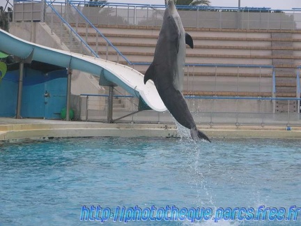 Marineland Antibes - 014