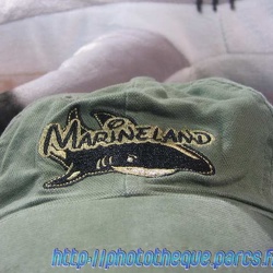 Marineland - Autres Photos