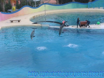 Marineland Antibes - 001