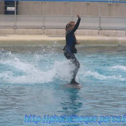Marineland - Dauphins - Spectacle 17h00