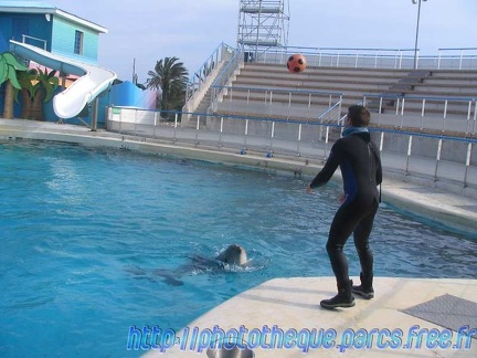 Marineland Antibes - 001