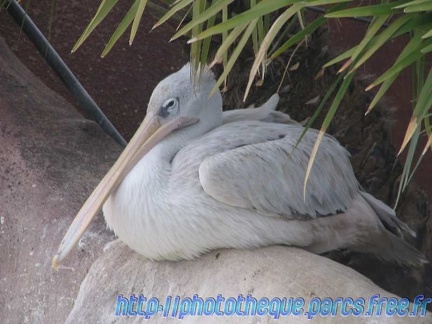 Marineland Antibes - 001