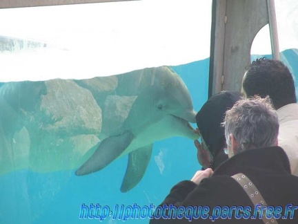 Marineland Antibes - 001