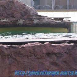 06 - Marineland - 19 Mars 2006
