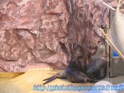 Marineland Antibes - 001