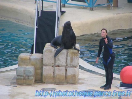 Marineland Antibes - 001