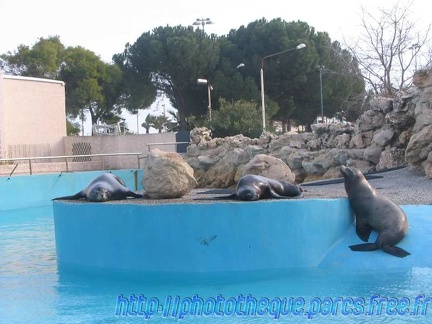 Marineland Antibes - 001