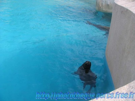 Marineland Antibes - 001