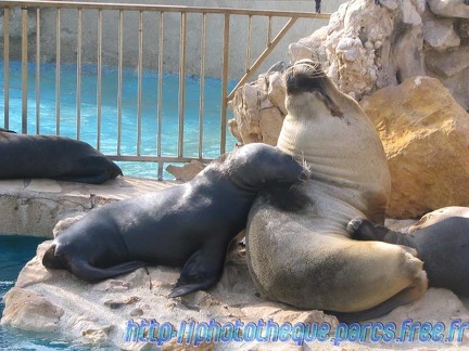 Marineland Antibes - 001