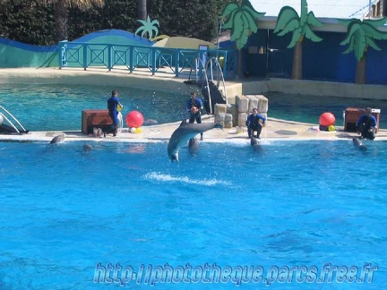 Marineland Antibes - 002