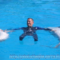 Marineland - Dauphins - Spectacle - 14h30