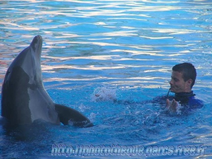 Marineland Antibes - 003