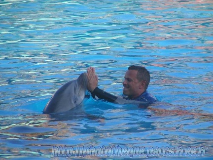 Marineland Antibes - 006