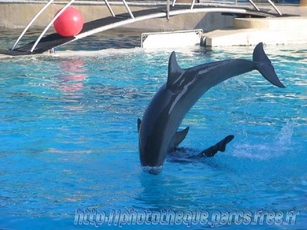 Marineland Antibes - 007