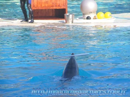 Marineland Antibes - 011