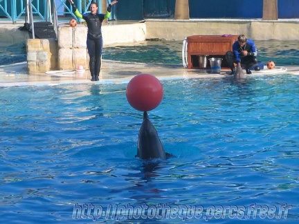 Marineland Antibes - 013