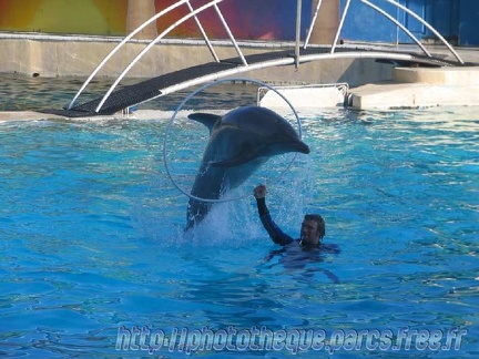 Marineland Antibes - 015