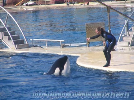 Marineland Antibes - 001