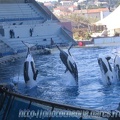 Marineland Antibes - 020