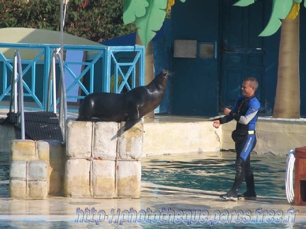 Marineland Antibes - 002