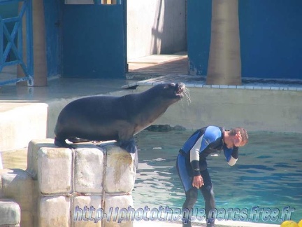 Marineland Antibes - 001