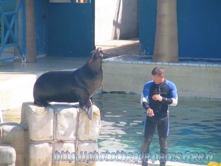 Marineland Antibes - 002