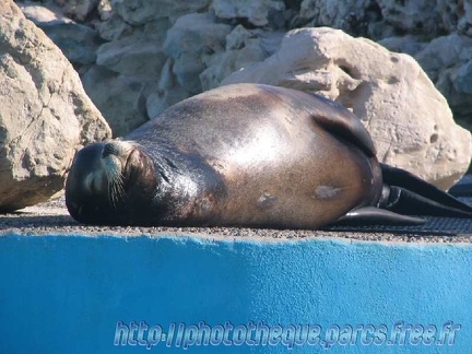 Marineland Antibes - 002