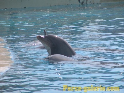 Marineland Antibes - 001