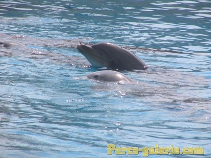 Marineland Antibes - 004