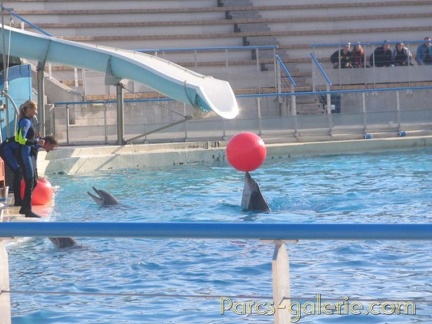 Marineland Antibes - 001