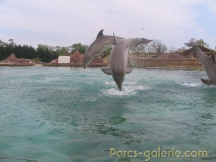 Marineland Antibes - 001