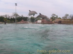 Marineland Antibes - 002