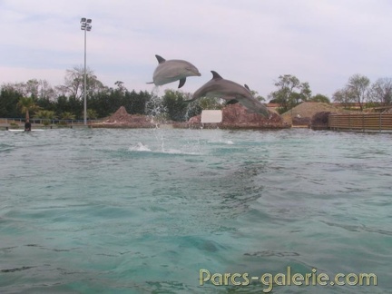 Marineland Antibes - 002