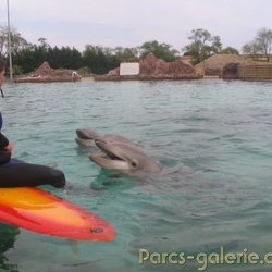 Marineland - Lagoon