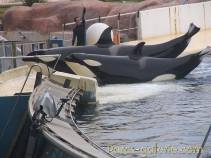 Marineland Antibes - 001