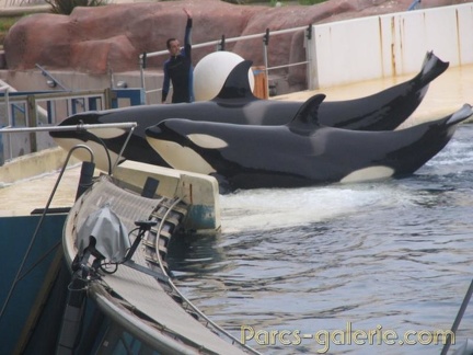 Marineland Antibes - 001