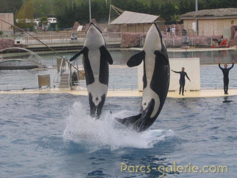 Marineland_Antibes_-_002.jpg