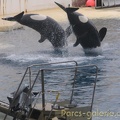 Marineland Antibes - 003