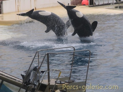 Marineland Antibes - 003