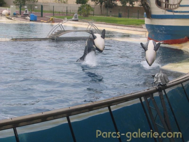 Marineland Antibes - 004