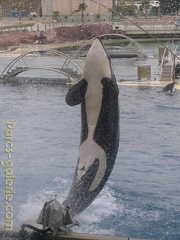 Marineland Antibes - 005