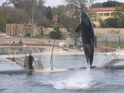 Marineland Antibes - 006