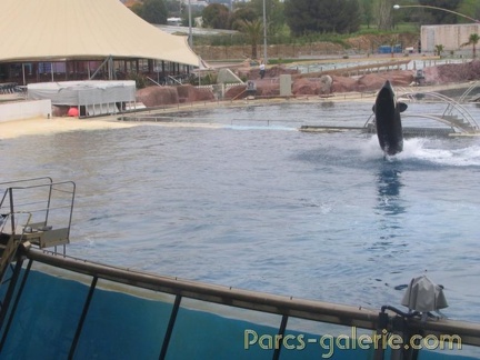 Marineland Antibes - 007